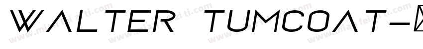 walter tumcoat字体转换